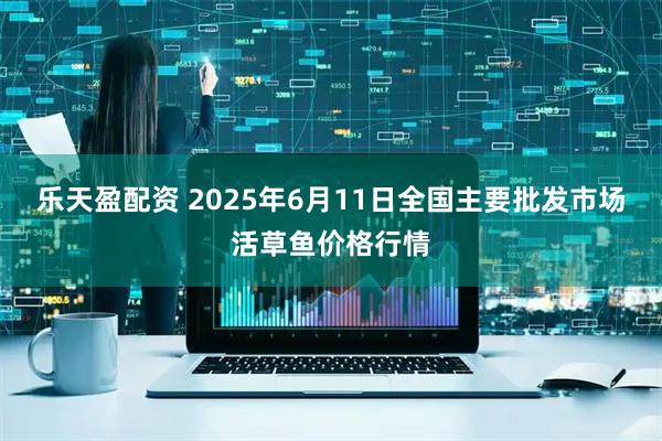 乐天盈配资 2025年6月11日全国主要批发市场活草鱼价格行情