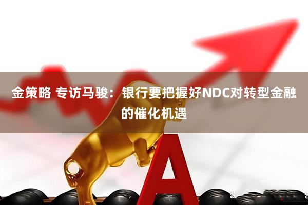 金策略 专访马骏：银行要把握好NDC对转型金融的催化机遇