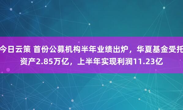 今日云策 首份公募机构半年业绩出炉，华夏基金受托资产2.85万亿，上半年实现利润11.23亿