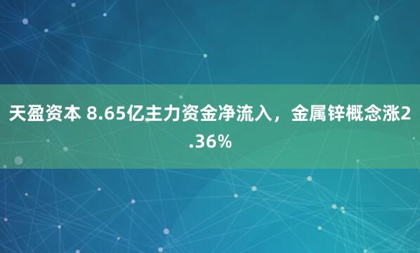 天盈资本 8.65亿主力资金净流入，金属锌概念涨2.36%