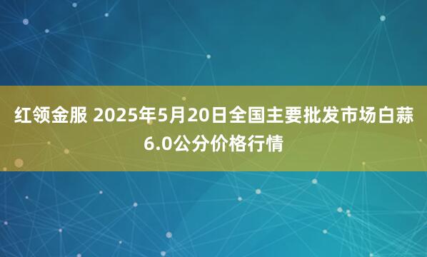 红领金服 2025年5月20日全国主要批发市场白蒜6.0公分价格行情